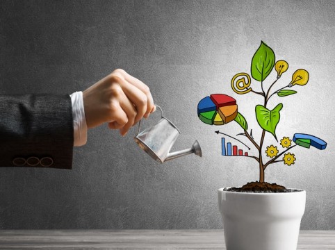 ما علاقة القدرة المالية بالاستدامة؟